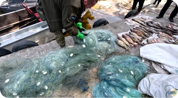 Волонтерство