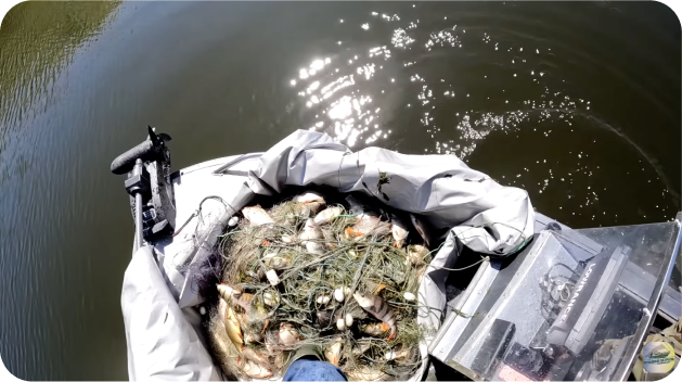 Волонтерство