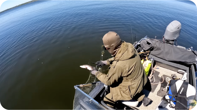 Волонтерство