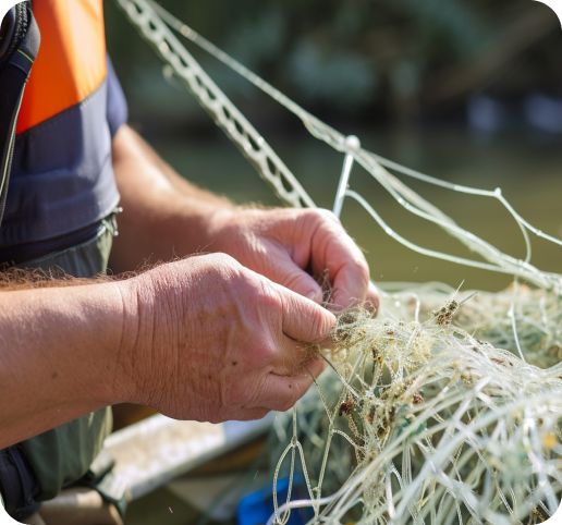 Мiсiя організації